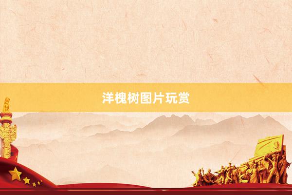 洋槐树图片玩赏