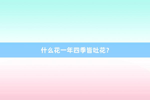 什么花一年四季皆吐花？