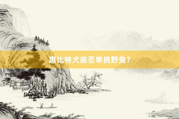 惠比特犬能否单挑野兔？